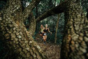 BIB: 
                            <button type="button" onclick="openModal(25668067)" class="btn btn-primary btn-sm float-right btn-popup" data-toggle="modal" data-target=".modal-high-quality">
                        <i class="fas fa-shopping-cart"></i> Add to Cart
                    </button>
                                            <button type="button" onclick="isThisMe(25668067, true)" class="btn btn-success btn-sm float-right btn-popup btn-isme hidden" data-toggle="tooltip" data-placement="bottom" title="นี่คือรูปของคุณใช่ไหม คลิกที่นี่เพื่อเอาเข้าอัลบั้ม">
                        <i class="fas fa-plus"></i> Add to album
                    </button>
                    <button type="button" onclick="isThisMe(25668067, false)" class="btn btn-warning btn-sm float-right btn-popup btn-isnotme hidden">
                        <i class="fas fa-ban"></i> Remove from album
                    </button>